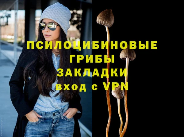 Альфа ПВП Алексин