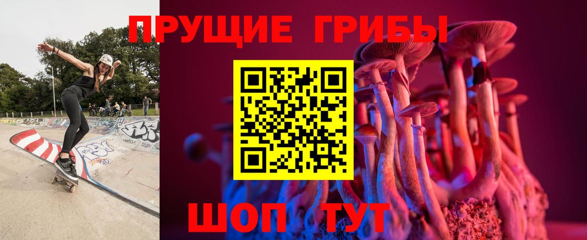 Галлюциногенные грибы Psilocybe  Псилоцибиновые грибы GOLDEN TEACHER  Вход с VPN  Лобня 